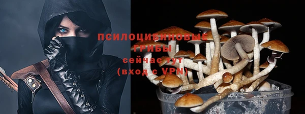 гашик Баксан