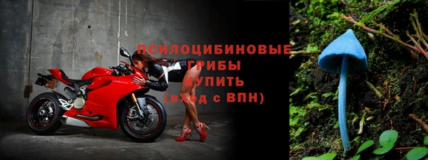 spice Балахна