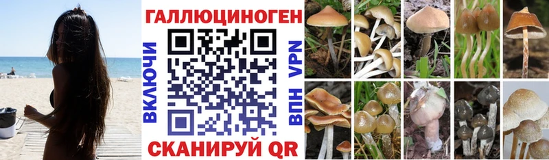 дарнет шоп Ахтырский Галлюциногенные грибы MAGIC MUSHROOMS